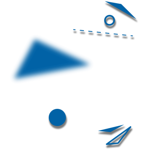 fly